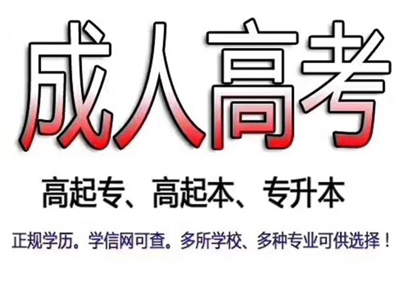 教育行业的未来趋势与创新——赛德教育的发展之路
